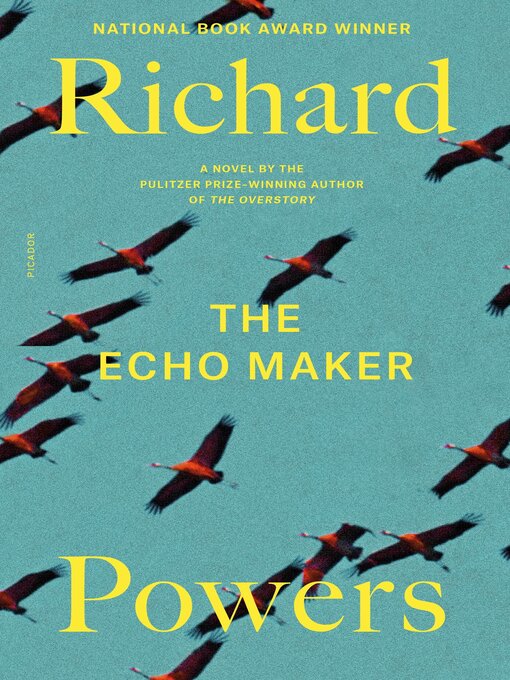 Cover image for The Echo Maker